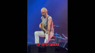 Sting “If It’s Love” 2023 Live in concert. Wiener Stadthalle, Hall D #sting #livemusic #ifitslove