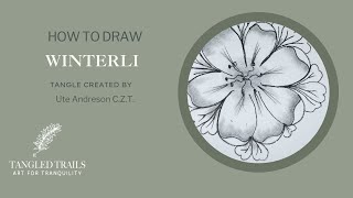 How to draw Winterli tangle pattern by Tangled Trails Art   HD 720p