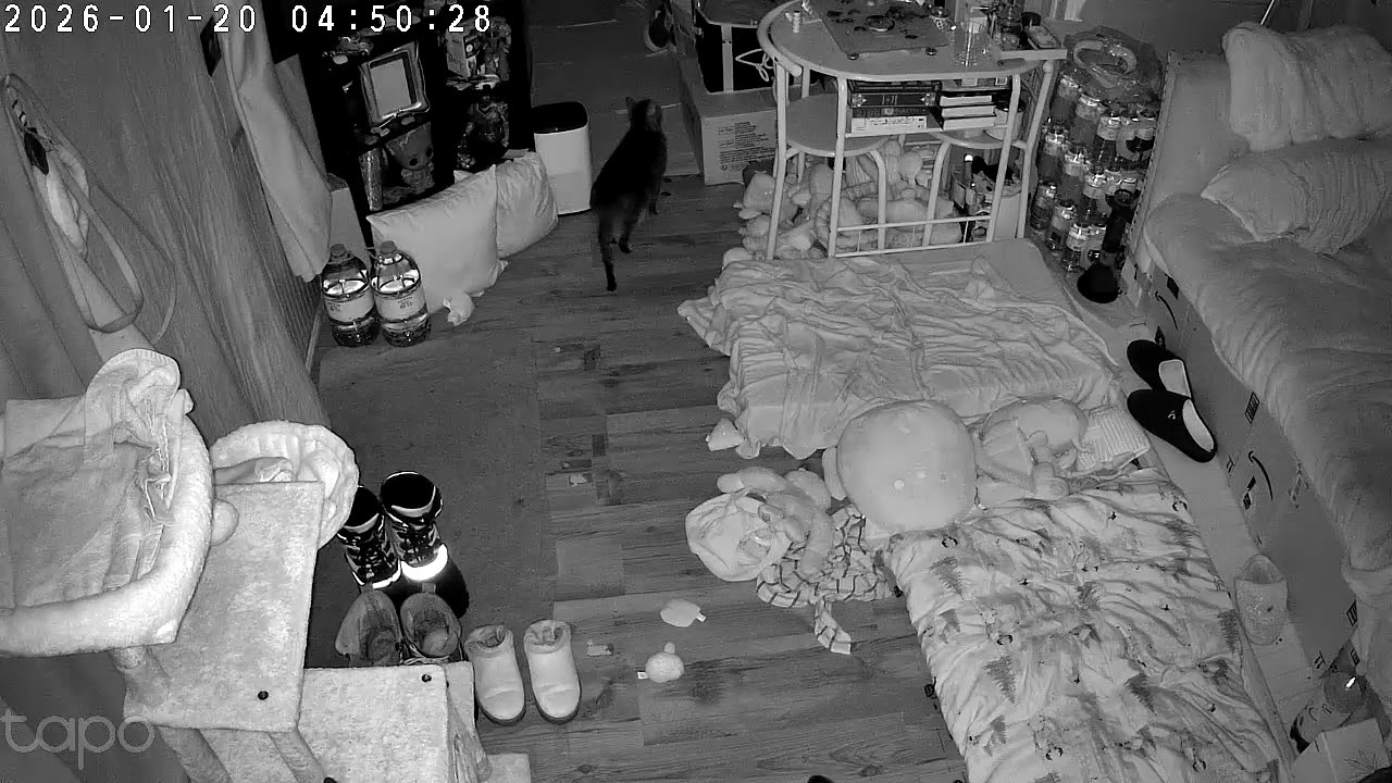 Things that go bump in the night part 5