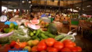 Martinique    une destination des cenataines de voyages