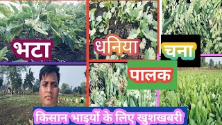 किसान भाईयों के लिए अच्छी फसल #kisan #khetibadi #vlogs #kisan #fasalbima #palak #faimilyvlog