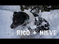 La primera nevada de la temporada en Estocolmo / Sony ZV-E10 / Video a 2.39:1