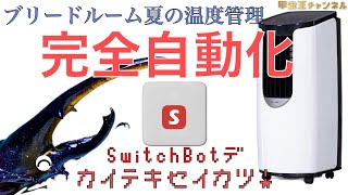 甲虫王チャンネル　第72話　夏のブリードルーム温度管理の超便利アイテム導入！スイッチボットで完全自動化に成功！