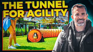 Easily Teach Your Dog The Tunnel For Agility.