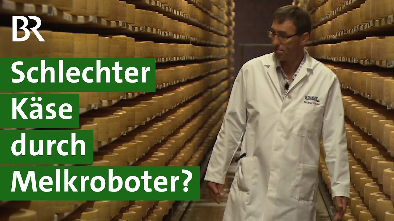 Schlechter Schweizer Käse durch Melkroboter im Kuhstall? | Milchkuh Doku | Unser Land | BR