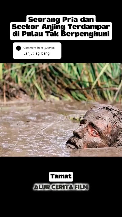 Setelah lima tahun terdampar di pulau terpencil, pria ini akhirnya bisa keluar #film #reviewfilm