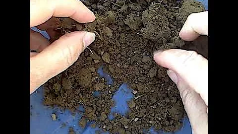 Digging into Soil
