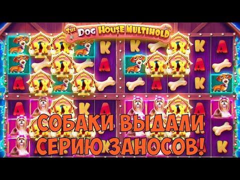 Видео: ИГРАЮ ВО ВСЕ ДОГ ХАУСЫ / ЗАНОС В DOG HOUSE MULTIHOLD / ПРИЯТНЫЙ ЗАНОСИК В DOG HOUSE MEGAWAYS