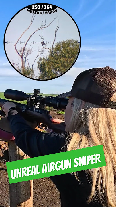 Senapan Angin Sniper Unreal | Akurasi & Kekuatan | FX DRS Klasik | Senapan angin terbaik di dunia | #berburu