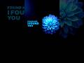 Stephen Sanchez - Until I Found You (Sped Up) #shorts #spedlyrics #aesthetic