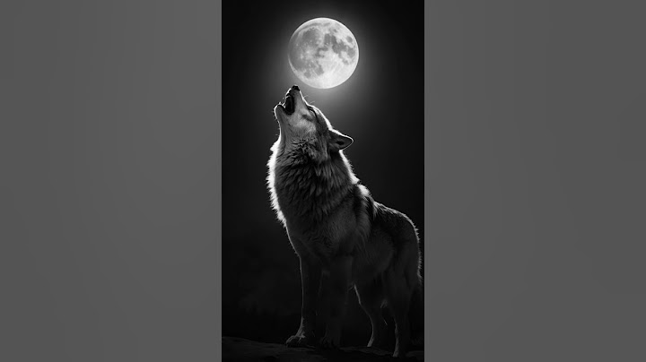 LOBO AULLANDO