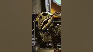 Zombie Stitch EXPLAINED 