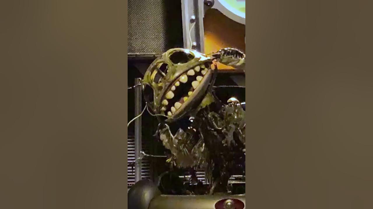 Zombie Stitch EXPLAINED 😱