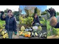 Massive home garden harvest         organic vegetables garden