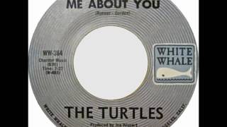 Watch Turtles Me About You video