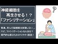 神経細胞を再生させる！？「ファシリテーション」【超簡単解説】