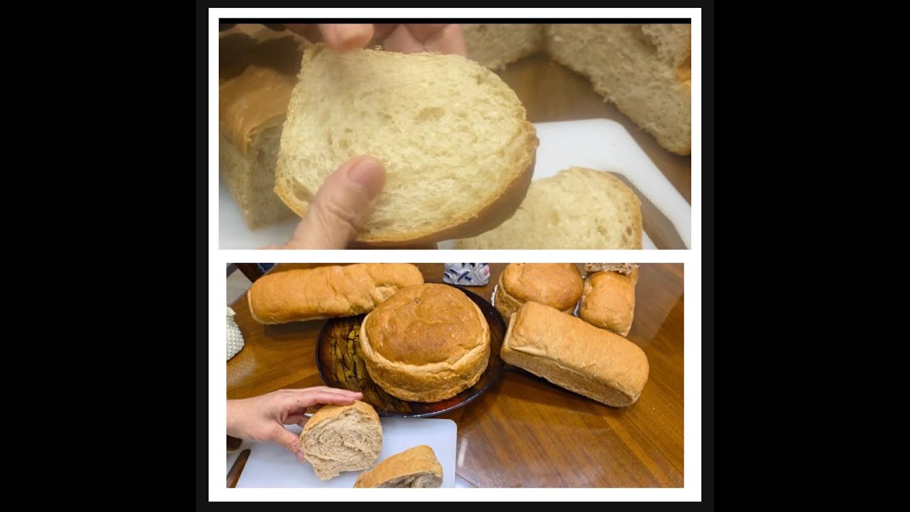 توست صحى بدون محسن  وسر نجاحه