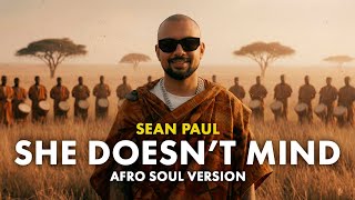 Sean Paul  She Doesnt Mind afro Soul Version
