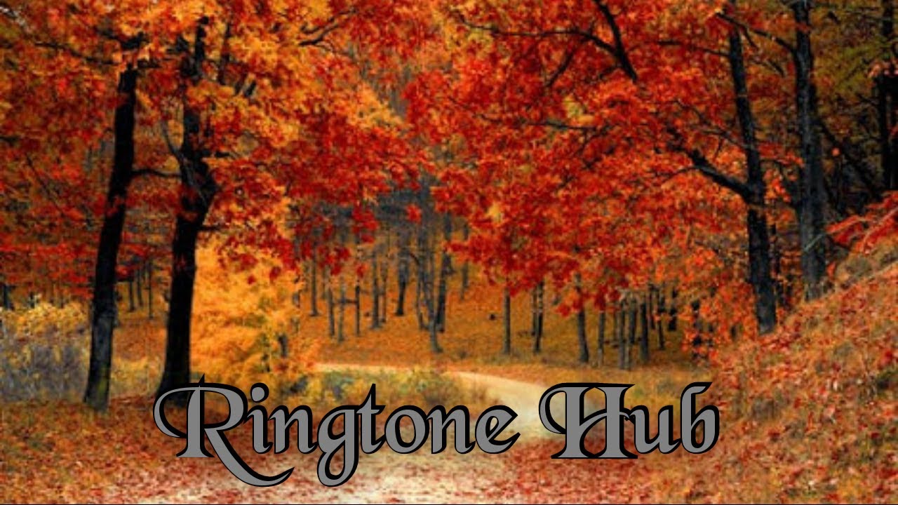 Best Flute Ringtone Of 2019