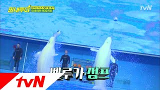 Salty Tour 명수투어의 큰 거 한 방! 끝내기 돌고래쇼★ 180505 EP.22