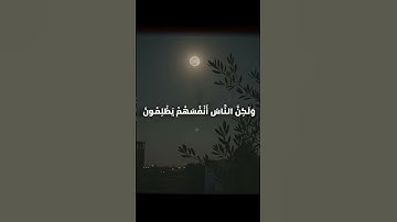 "الهداية بيد الله وحده | تلاوة من سورة يونس"