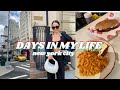 DAYS IN MY LIFE IN NYC: city views, trying new workout classes, trader joes grocery haul, and more!