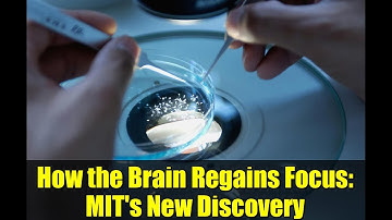 How the Brain Regains Focus: MIT