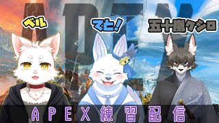 そたくん討伐隊メンバーで練習！🐺✨【てと！/狼系Vtuber】