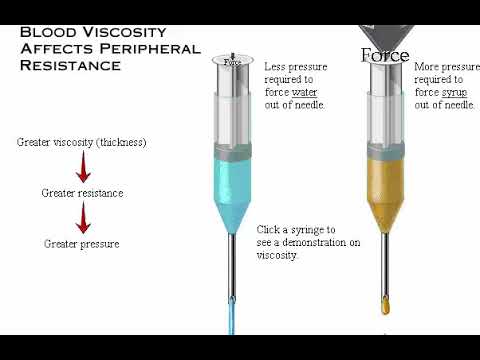 Interactive Physiology Factors affectin blood pressure - YouTube