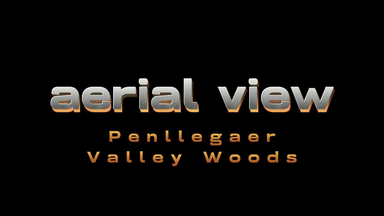 Aerial View of Penllegaer Valley Woods December 2023 YouTube