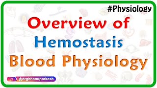 Overview of Hemostasis - Blood physiology Animated video lecture for MBBS