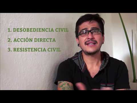 Video: ¿Cuándo y cómo se lanzó el movimiento de desobediencia civil?