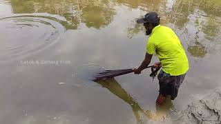 Fish Catching Using by Cast Net in The Beautiful Village Pond