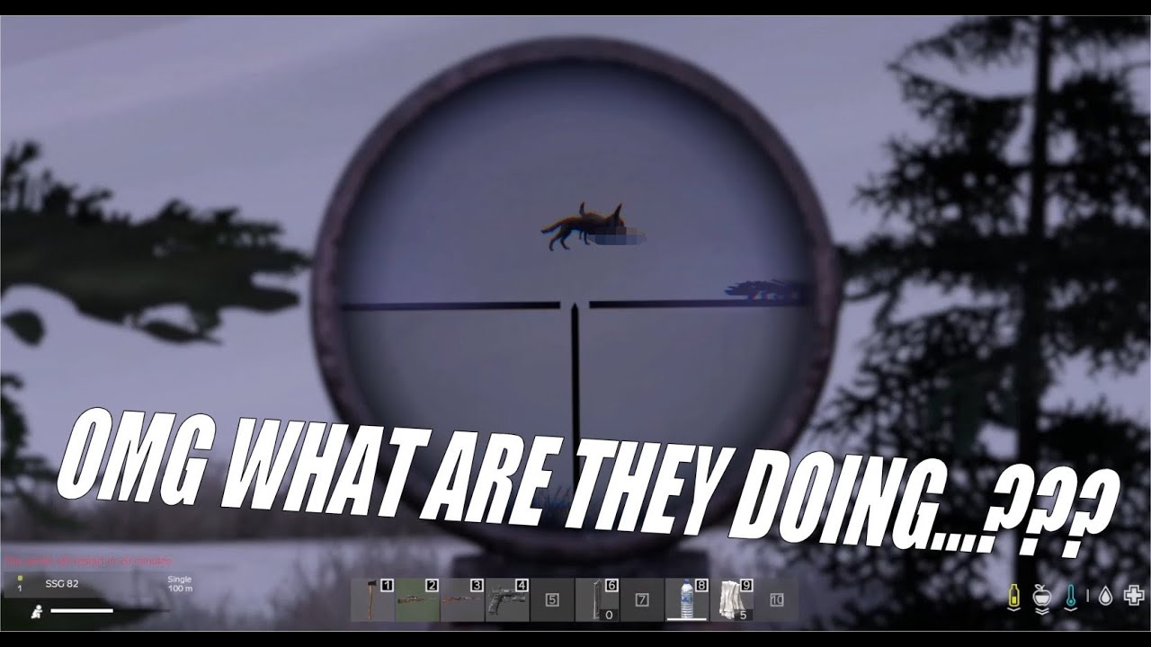 DayZ Wolves Really Do This OMG???? - YouTube