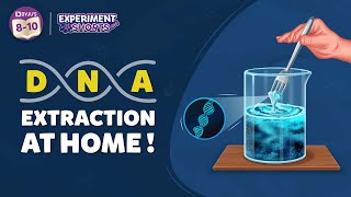 How to Extract DNA from Banana. | DNA Extraction at Home | Experiment Shorts | YTShorts