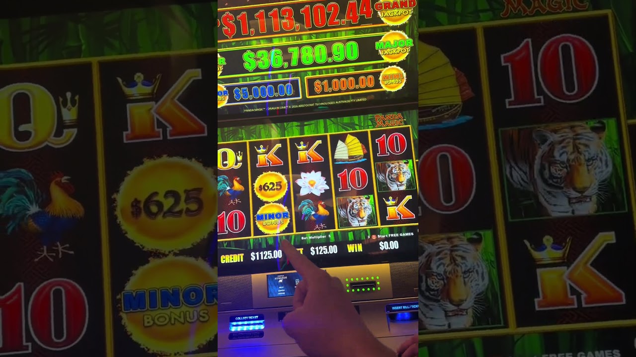 cảm nhận của em về đoàn thuyền đánh cá One spin and he hits this? casino slot bigwin jackpot fyp blackjack slotmachine viral
