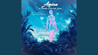 Amina (Peshta Gora Remix)