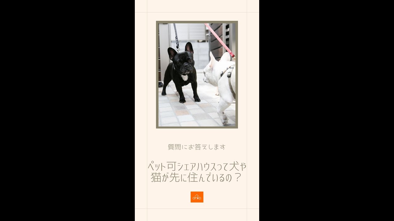 ペット可シェアハウスって犬や猫が先に住んでいるの 質問にお答えします 010 多頭飼い可賃貸 ペット可賃貸 ペット可シェアハウス オンコ株式会社 Youtube ペット可シェアハウスって犬や猫が先に住んでいるの 質問にお答えします 010 多頭飼い可賃貸 ペット可賃貸 ペット可シェアハウス オンコ株式会社 Youtube