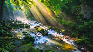 Music Therapy🌿Calming Nature Sounds & Relaxing Music Reduces Stress and Stops Thinking Too Much #3 screenshot 1