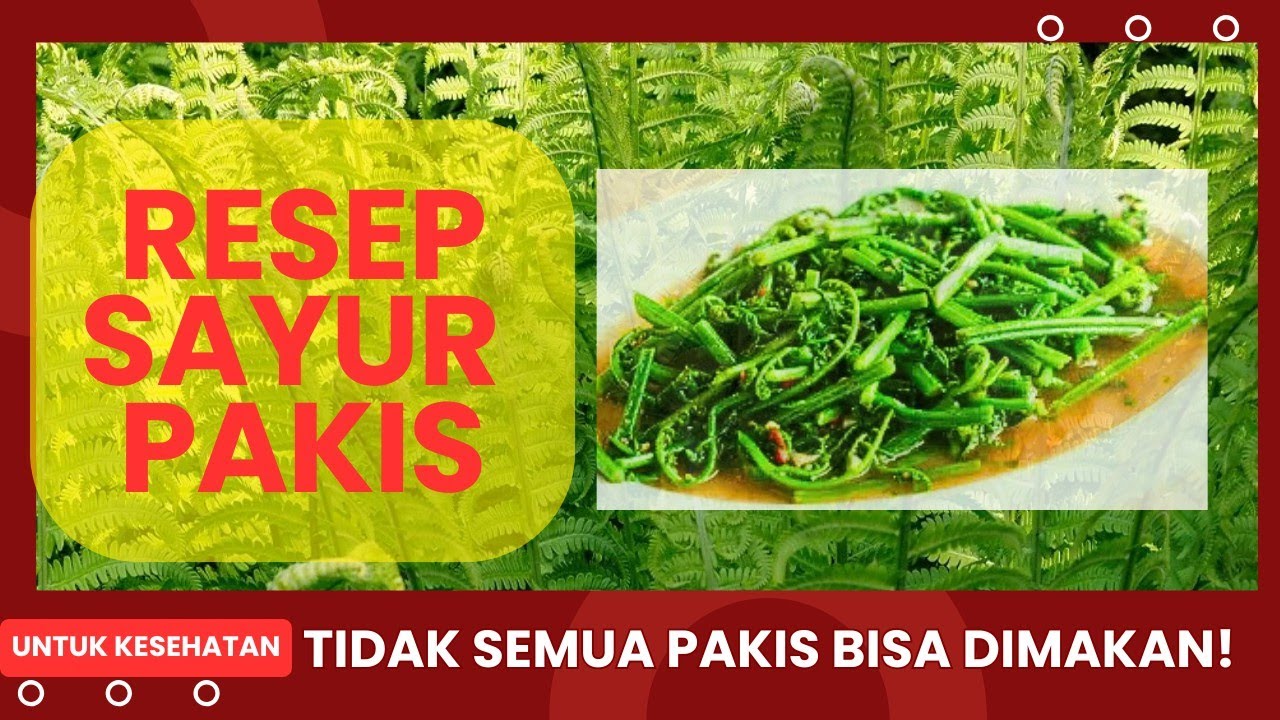 Manfaat Pohon Pakis untuk Kesehatan & Resep Pakis 