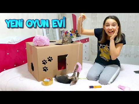Yavru Kedilerim İçin Kartondan Oyun Evi Yaptım (ODA BASKINI)