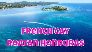 Come Explore The Beautiful Little French Key Neighborhood With Me In Roatan | Honduras!