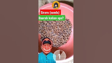 Funny Video Gorengan peyek Siraru #shorts #reaction #funny #dubbing #comedy #short #viral #shorts