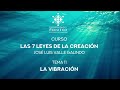 Curso GRATIS: Las 7 Leyes de la Creación - 11: La Vibración / José Luis Valle