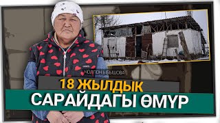 видео:  картинка: