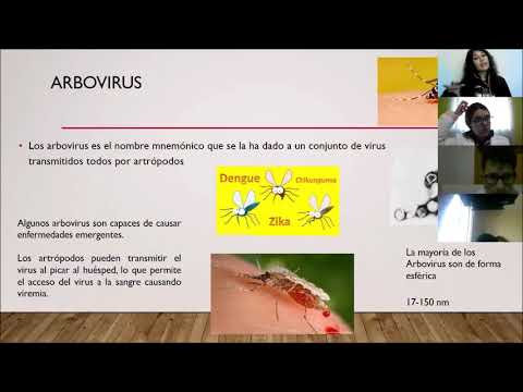 Arbovirus (Coltivirus y Orbivirus)