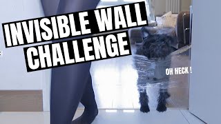 My Dogs Reaction To The Invisible Challenge