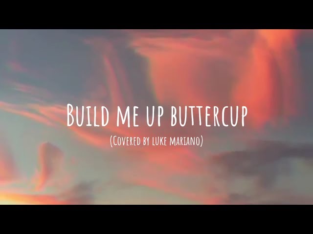 BUILD ME UP BUTTERCUP | AESTHETIC SONGS | That's Luke class=