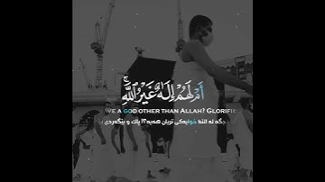 (أم لهم اله غير الله) تلاوة خاشعة شیخ ناصر القطامي | حالات واتس اب القران الكريم