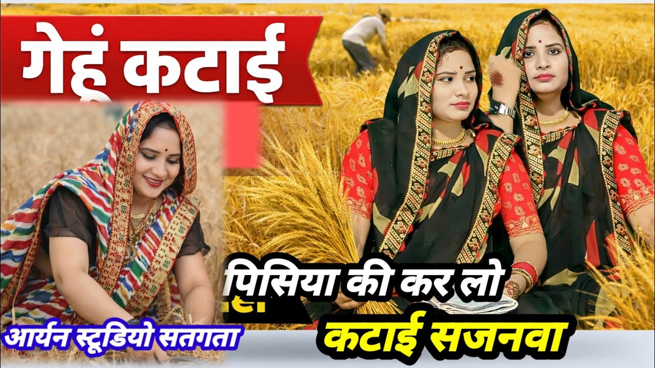 पिसिया की आ गई है कटाई सजनवा #गेहूं_कटाई_गीत #गेहूं_कटाई_बिलमारी_गीत #सविता_राज_के_गेहूं_कटाई_गीत